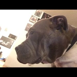 Meet your Posher, Juan